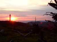 fruehling78 enzian